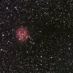 IC5146 - Kokonnebel