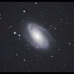 M81